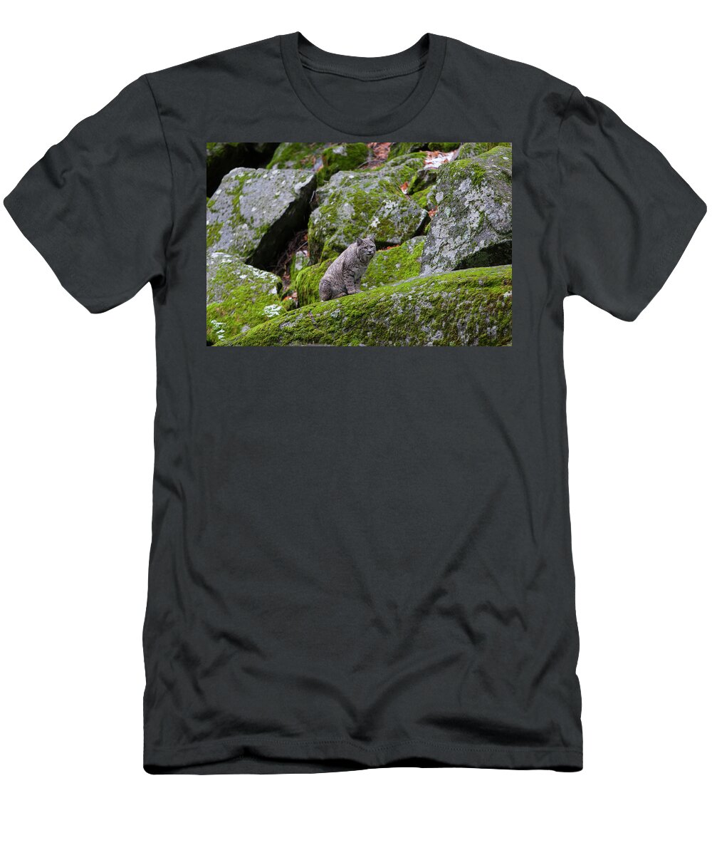 Wild Cat T-Shirt featuring the photograph High Sierra Bobcat by Mark Miller