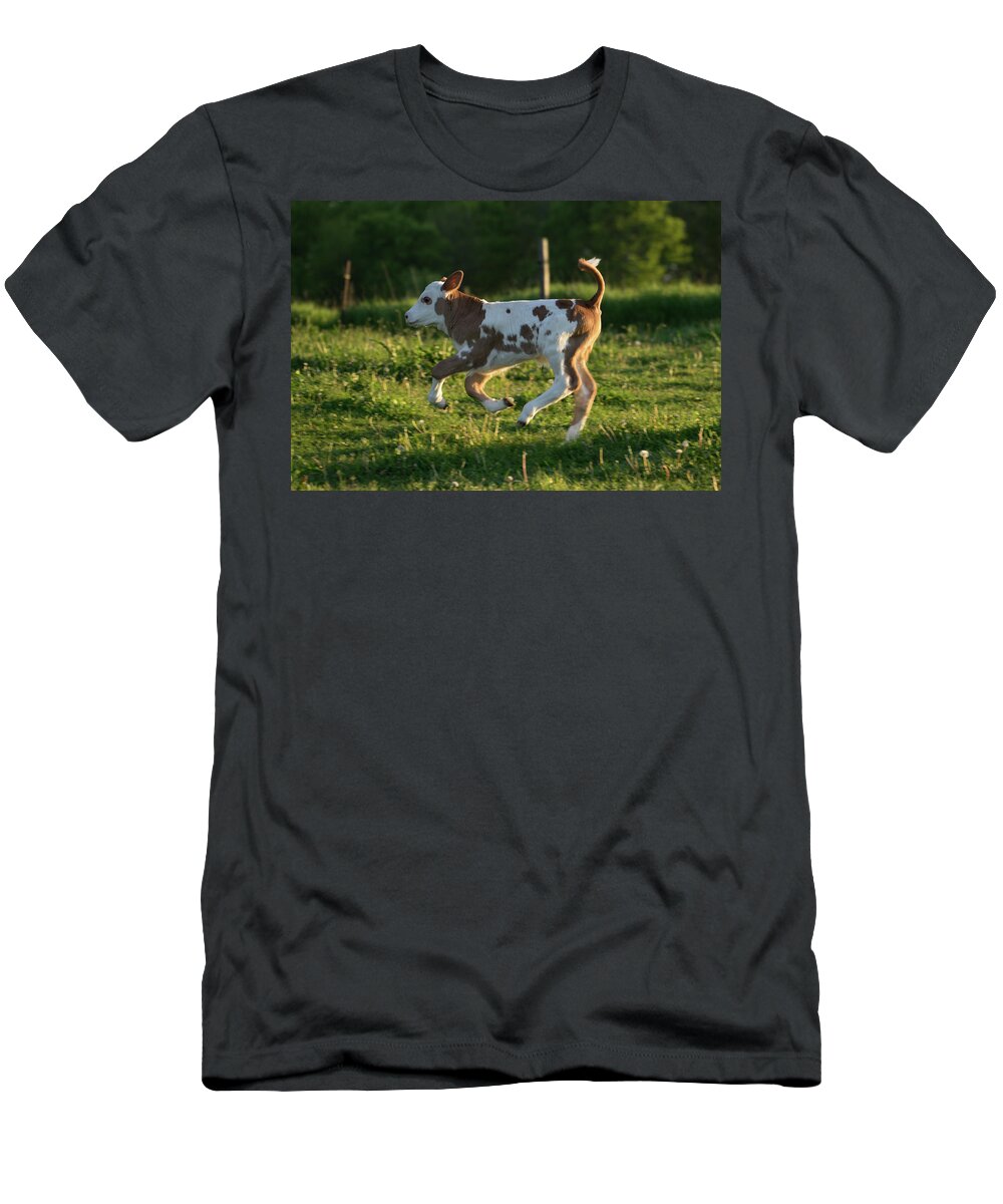 High-tailing It Back T-Shirt featuring the photograph High-Tailing it Back by Brooke Bowdren
