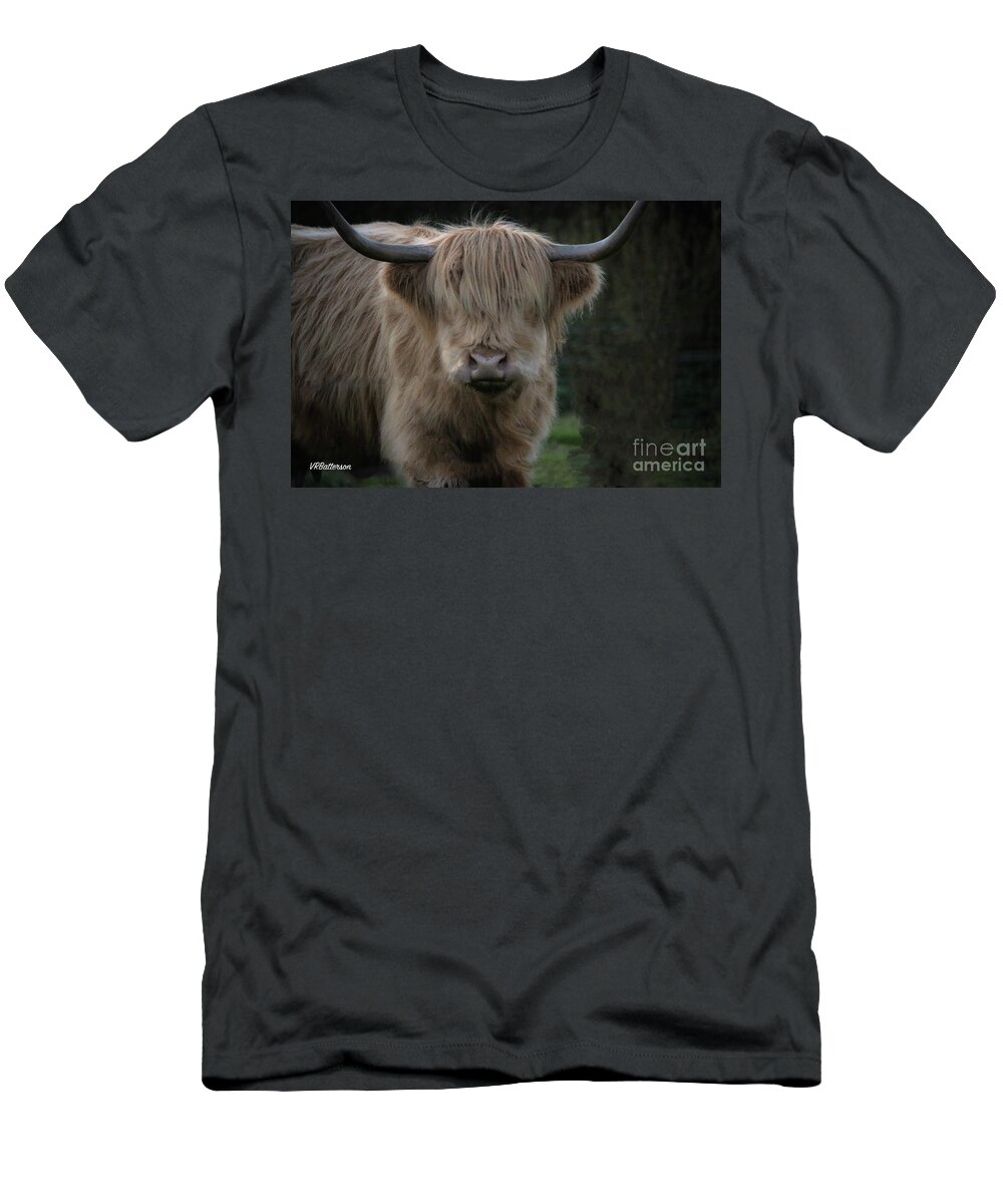 Highland Cattle T-Shirt featuring the photograph Highland Cattle Three by Veronica Batterson