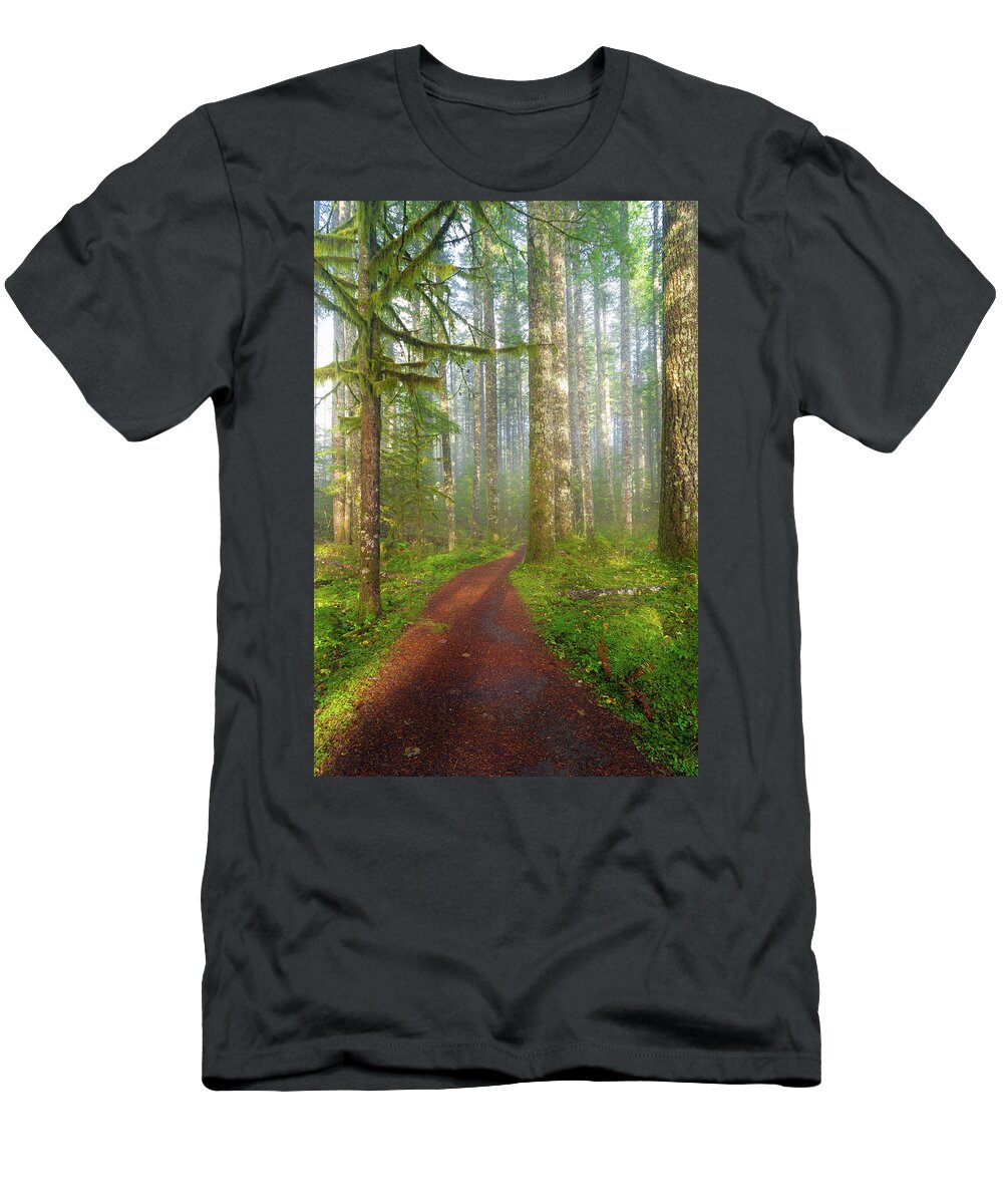 Hiking T-Shirt featuring the photograph Hiking Trail in Washington State Park by David Gn