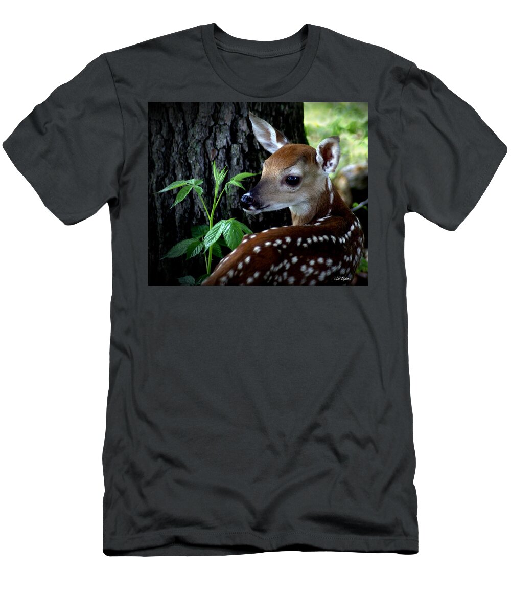 Deer T-Shirt featuring the photograph His Handywork by Bill Stephens