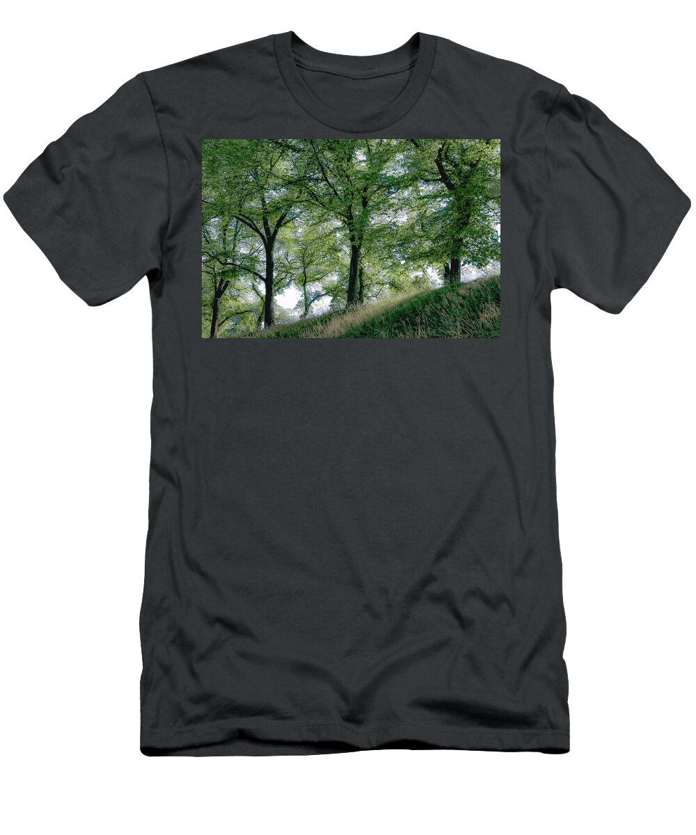 Europe T-Shirt featuring the photograph Homage to Carl Larsson by KG Thienemann