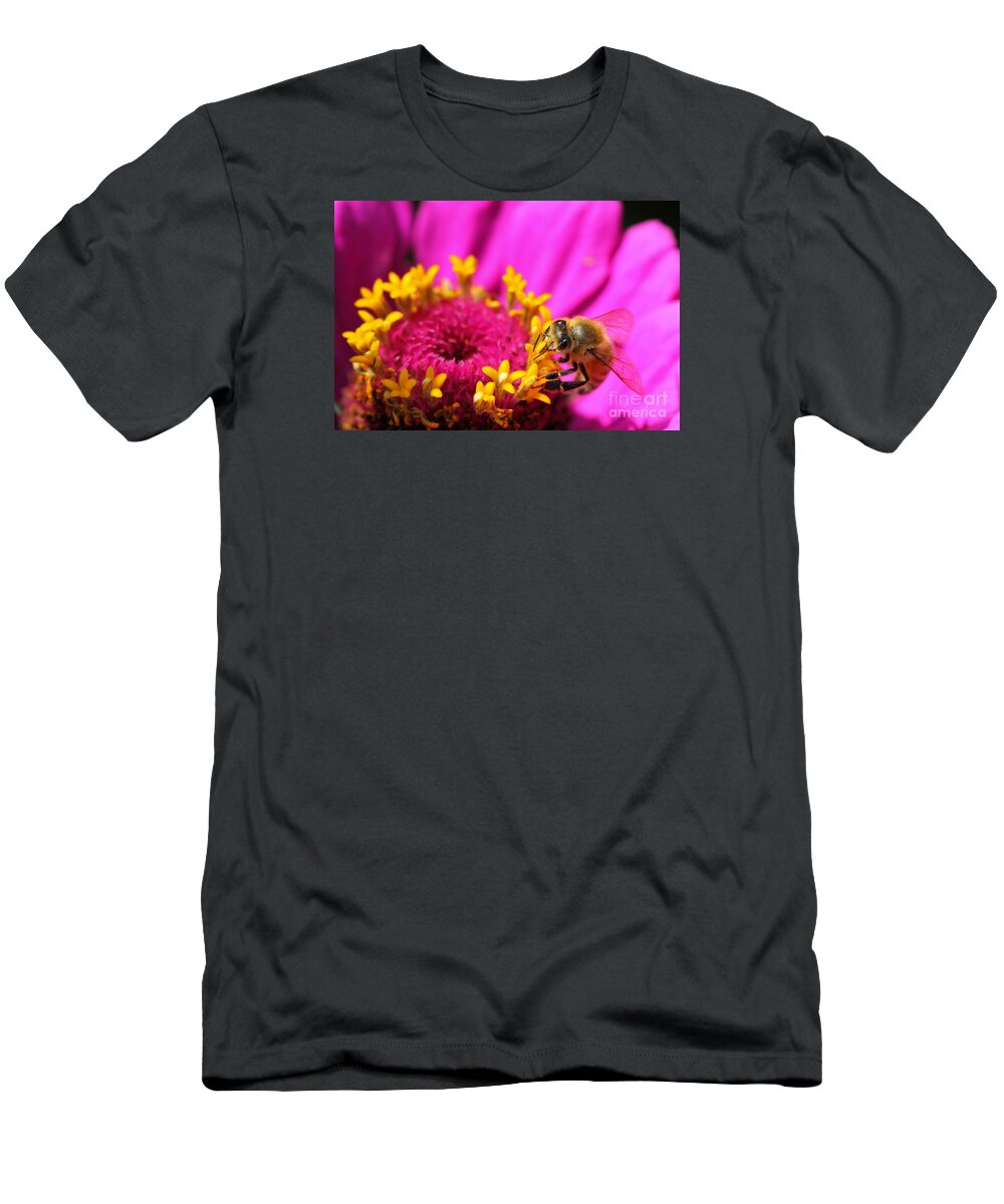 Pink T-Shirt featuring the photograph Honey Bee Pollinating Zinnia by Angela Rath