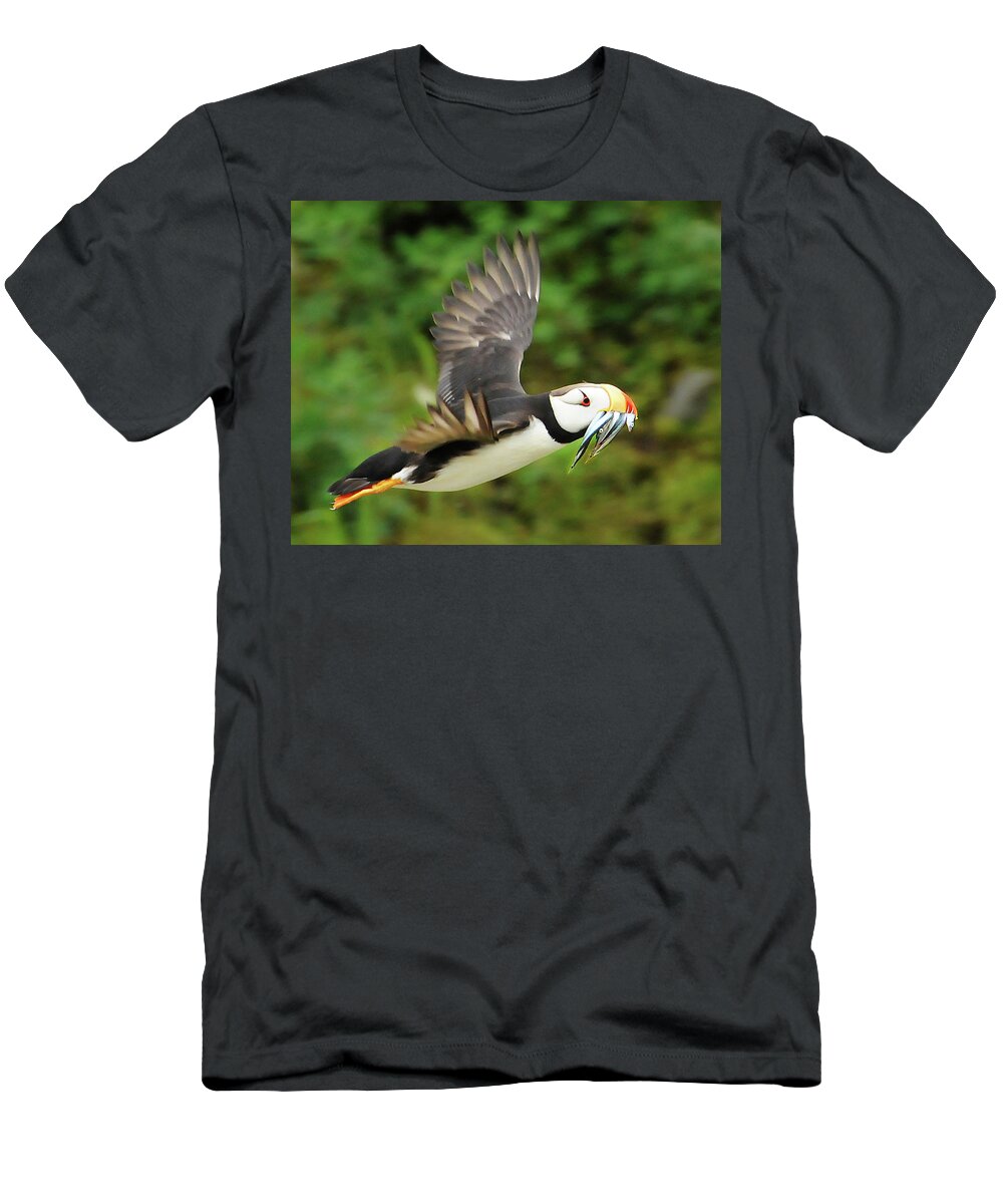 Puffin T-Shirt featuring the photograph Horned Puffin by Ted Keller