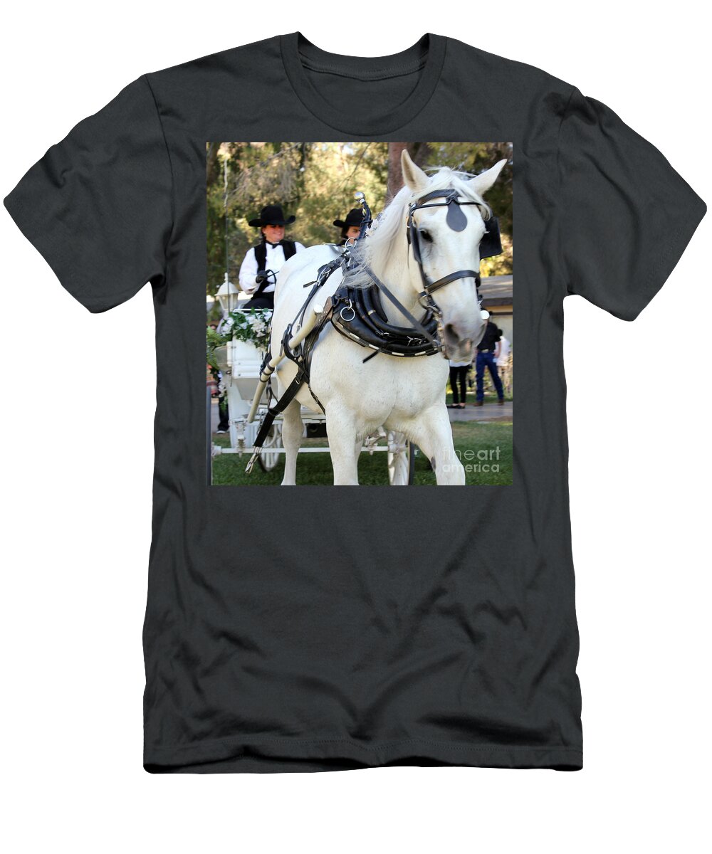 Horse T-Shirt featuring the photograph Horse and Carriage by Pechez Sepehri