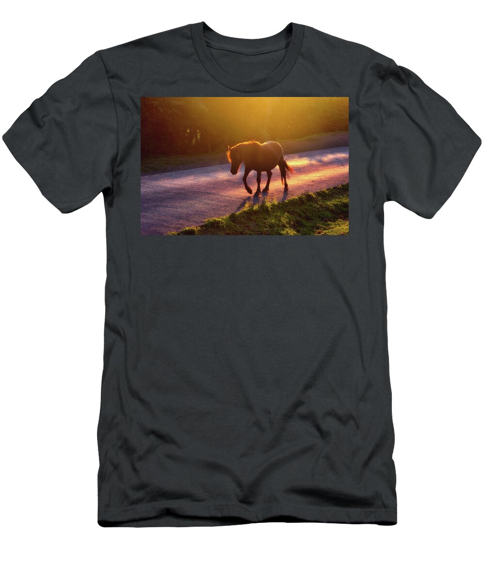 Horse T-Shirt featuring the photograph Horse Crossing The Road At Sunset by Mikel Martinez de Osaba