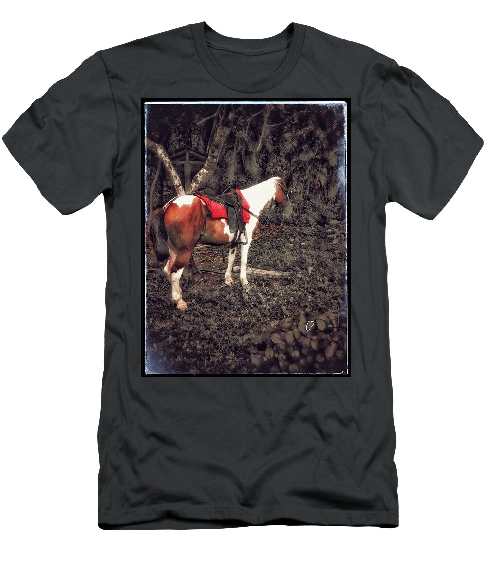 Landscape T-Shirt featuring the photograph Horse in Red by Christine Paris