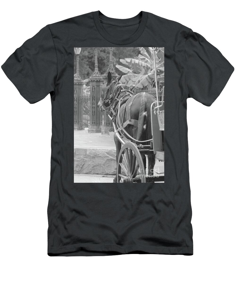 Horse T-Shirt featuring the photograph Horse in the Quarter by Michelle Powell