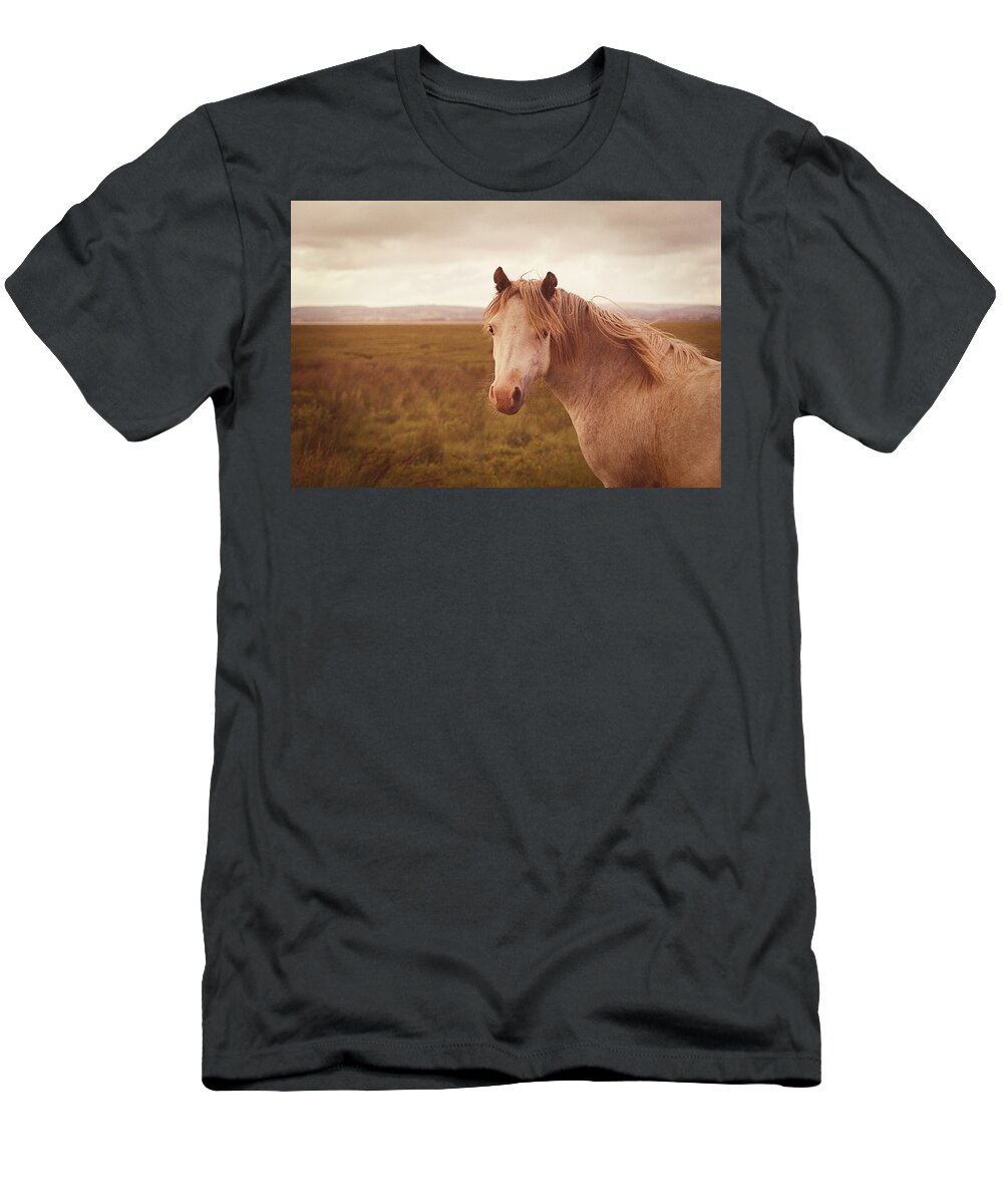Horse; Retro; Vintage; Animal; Wild; Warm; Sunset; Vignette; Golden; Beautiful; Nature; Landscape; Grass; Moor; Moorland; Clouds; Brown; Countryside; Rural; Light; Pony; Look; Field; Mane; Equestrian T-Shirt featuring the photograph Wild Horse by Steve Ball