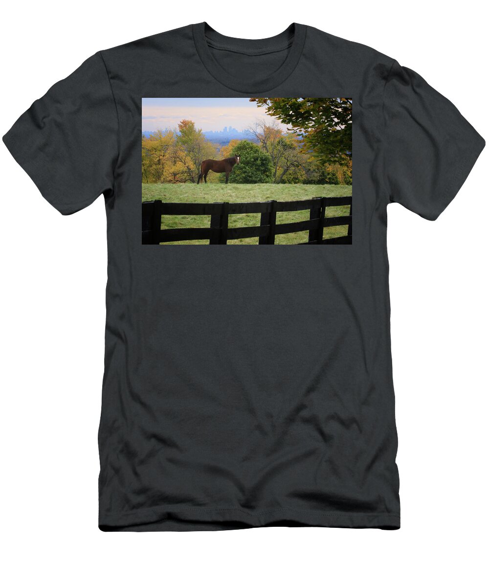 Gary Hall T-Shirt featuring the photograph Horse With A View by Gary Hall