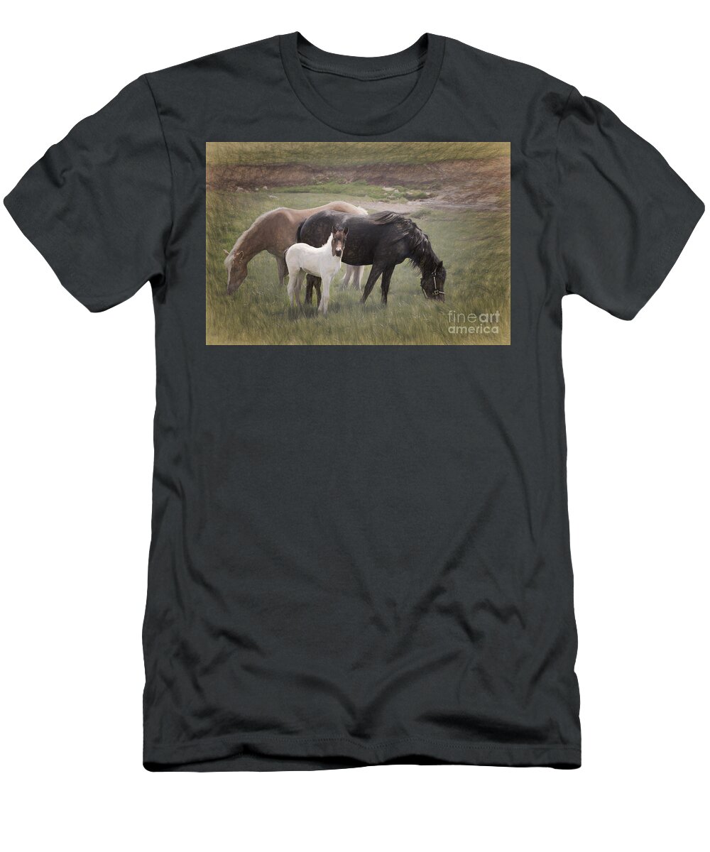 Horse T-Shirt featuring the photograph Horses And Colt by Sharon McConnell
