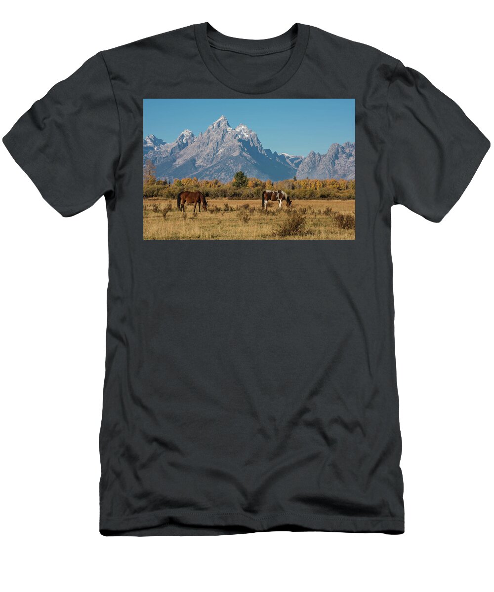 Horse T-Shirt featuring the photograph Horses of the Tetons by Jody Partin