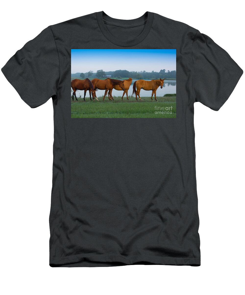Horses T-Shirt featuring the photograph Horses on the Walk by Metaphor Photo