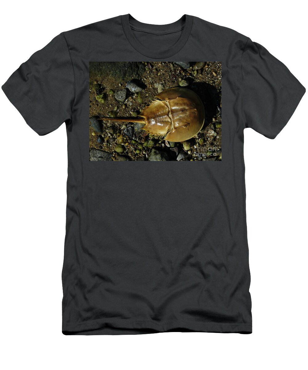 Horseshoe Crab T-Shirt featuring the photograph Horseshoe Crab by Jeff Breiman