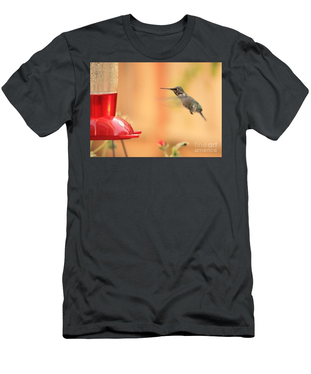 Hummingbird T-Shirt featuring the photograph Hummingbird and Feeder by Carol Groenen