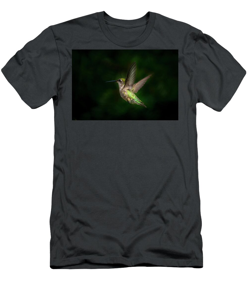 Young Ruby Throated Hummingbird T-Shirt featuring the photograph Hummingbird b by Kenneth Cole
