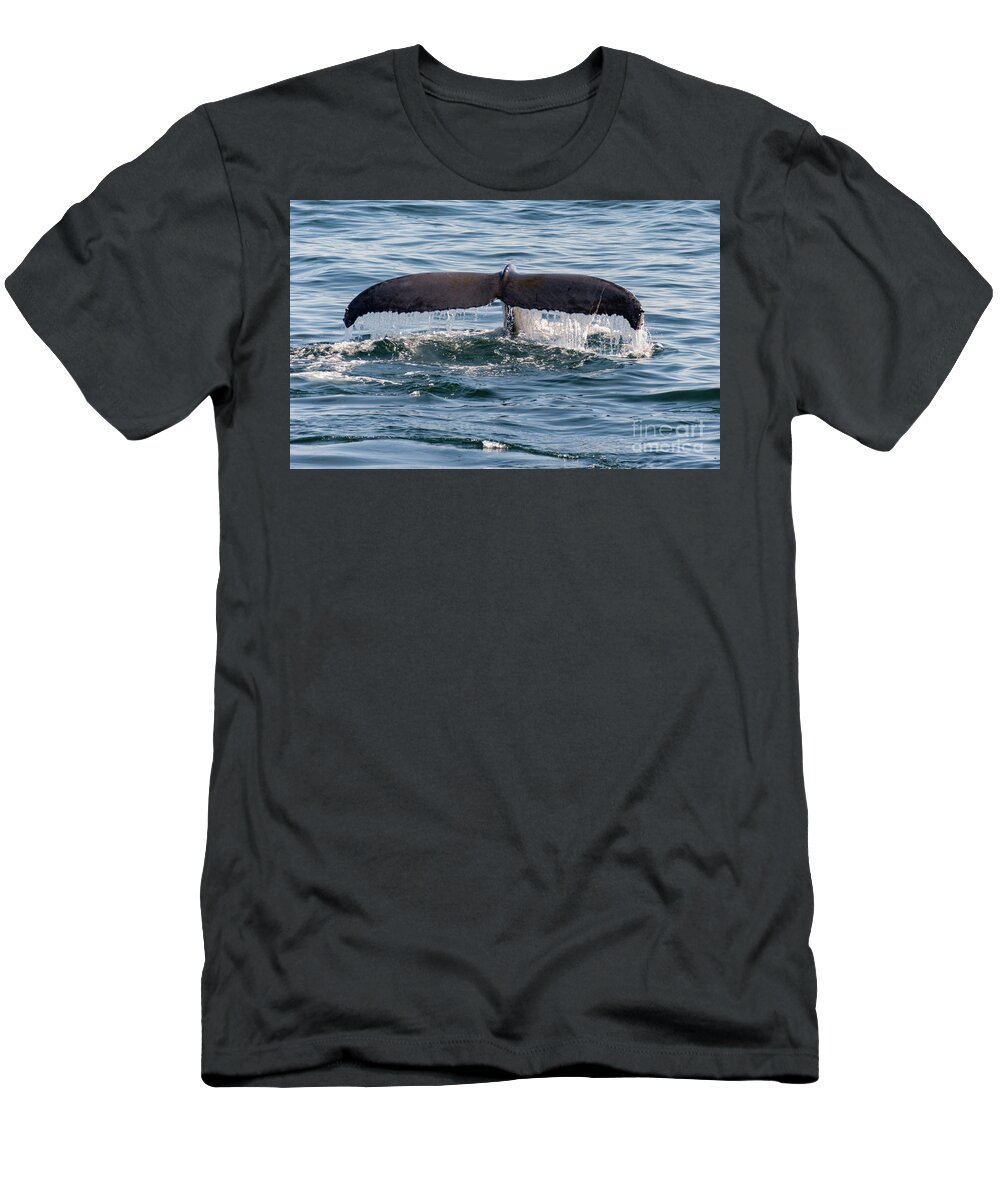 Humpback T-Shirt featuring the photograph Humpback Whale Flukes by Lorraine Cosgrove