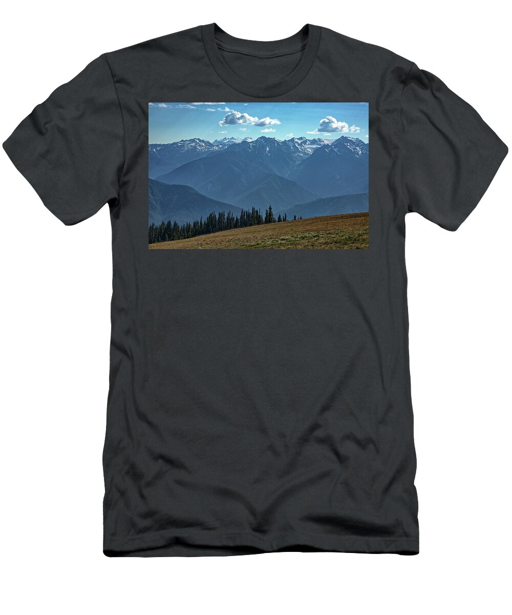 Grass T-Shirt featuring the photograph Hurricane Ridge by Kyle Lee
