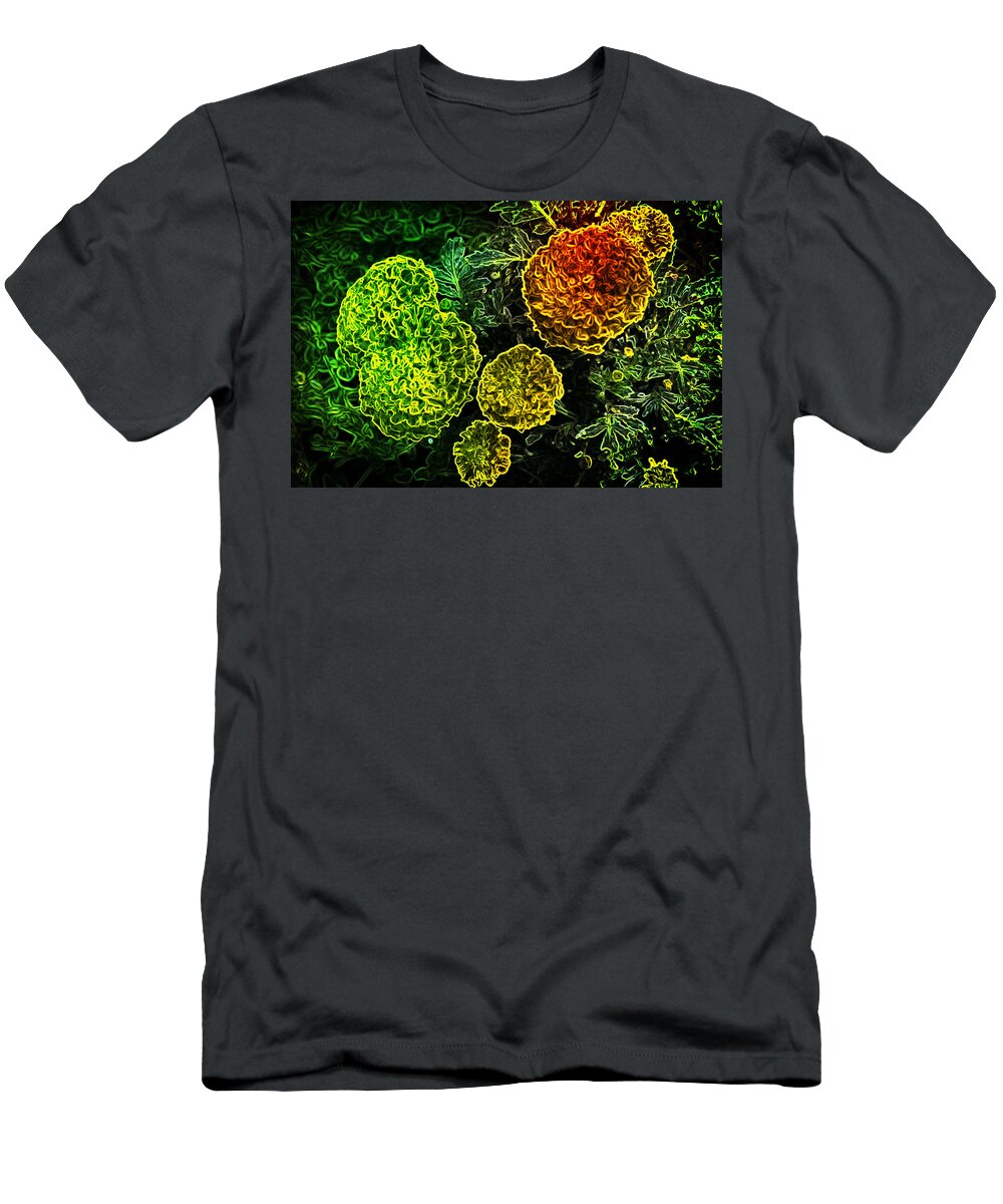 Snapped Pictrure Of Marigolds T-Shirt featuring the photograph Hybrid Marigolds by Rene' Marie Beseler