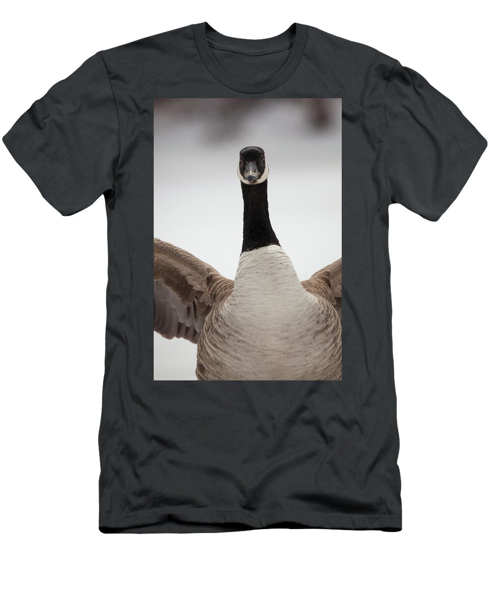 Goose T-Shirt featuring the photograph I Am Coming After You by Karol Livote