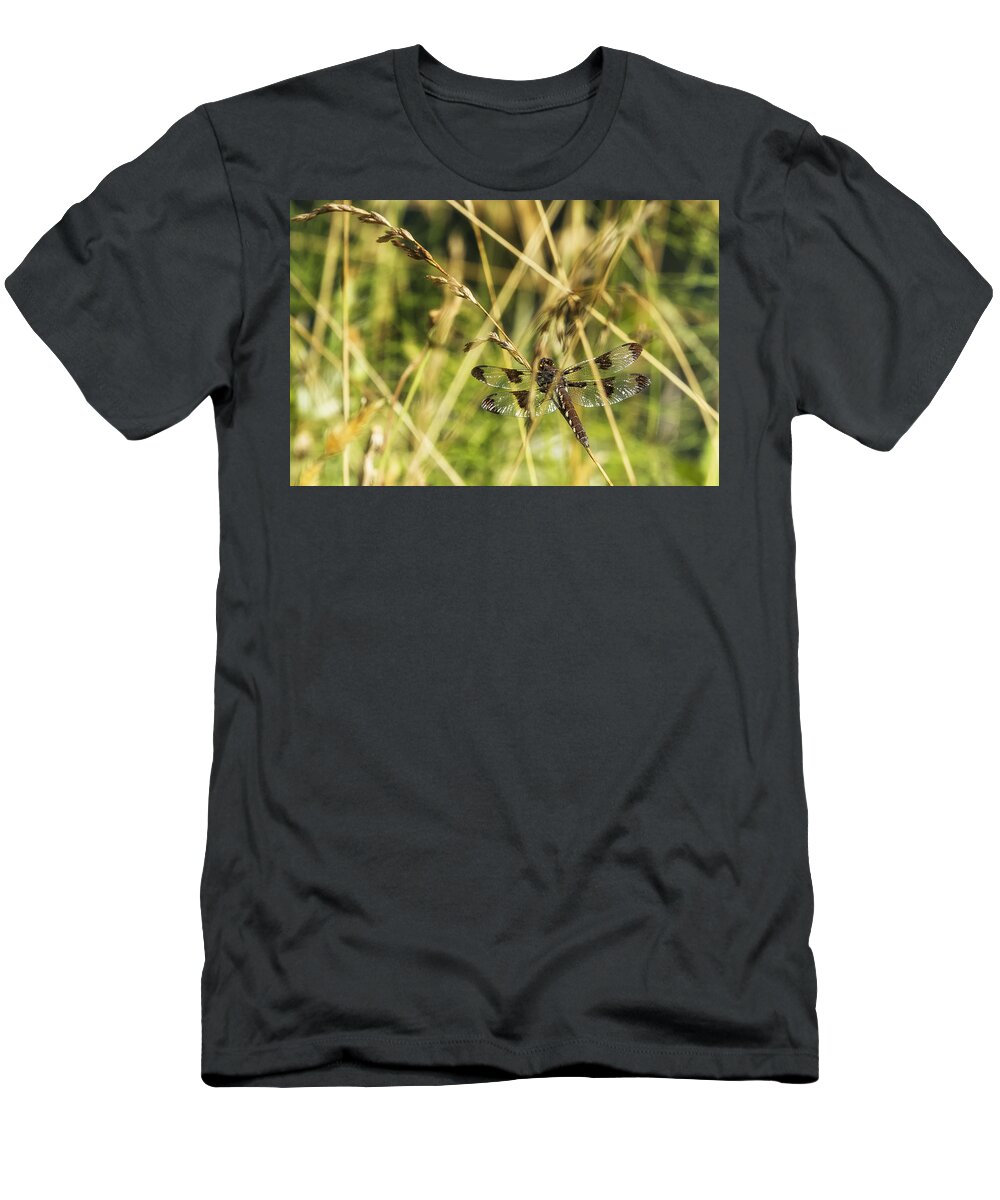 Common Whitetail Dragonfly T-Shirt featuring the photograph I Spy a Dragonfly by Belinda Greb