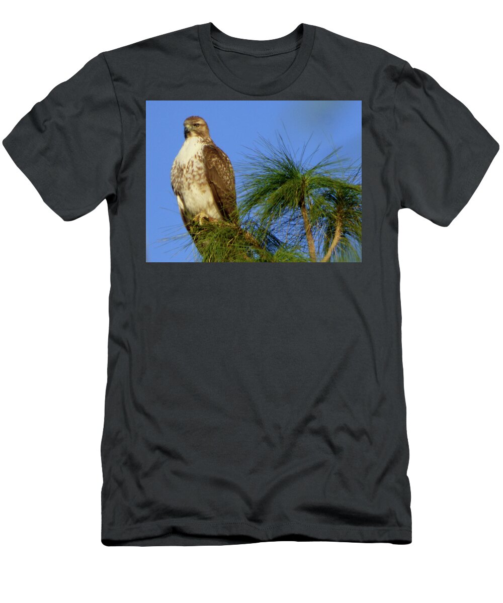Orcinus Fotograffy T-Shirt featuring the photograph I Stand Alone by Kimo Fernandez