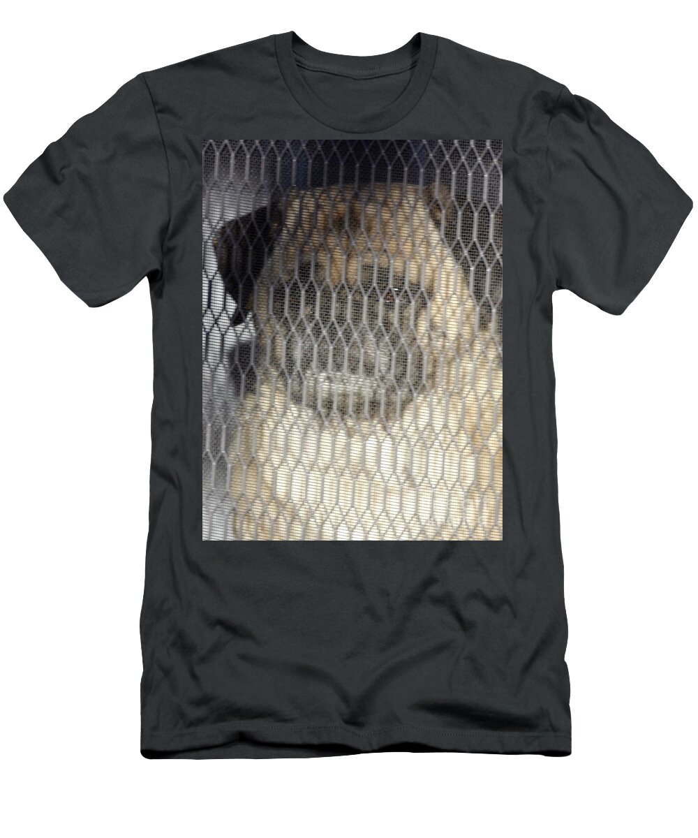 Dogs T-Shirt featuring the photograph I want to but I can't by Barbara Leigh Art