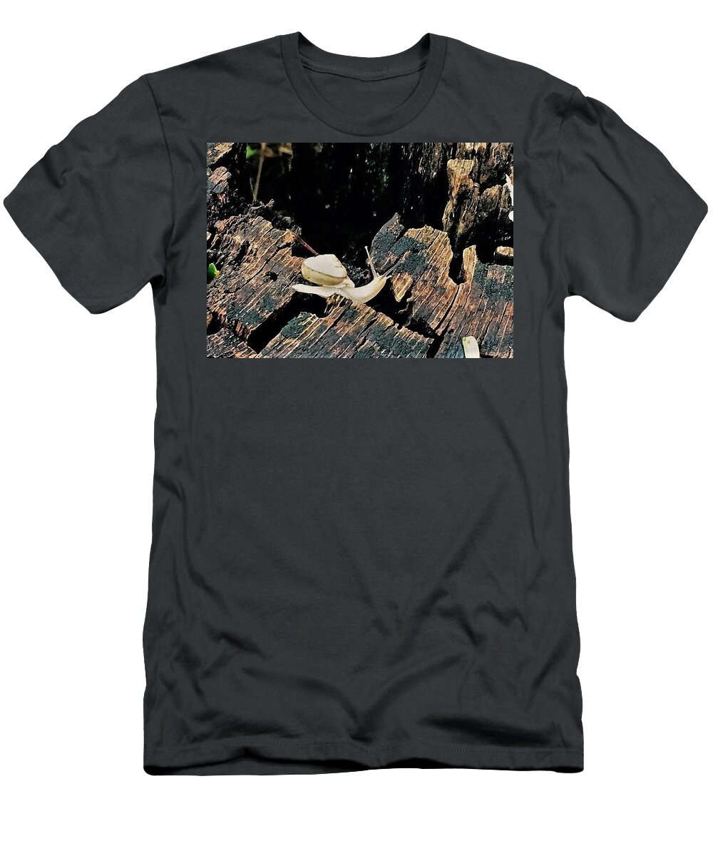 Snail T-Shirt featuring the photograph I Will Not Be Rushed by John Glass