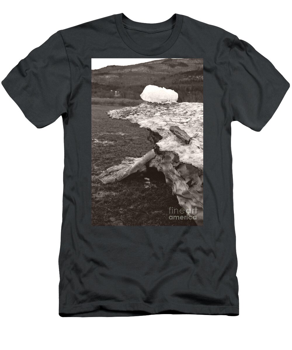  T-Shirt featuring the photograph Iceberg Silo by Heather Kirk