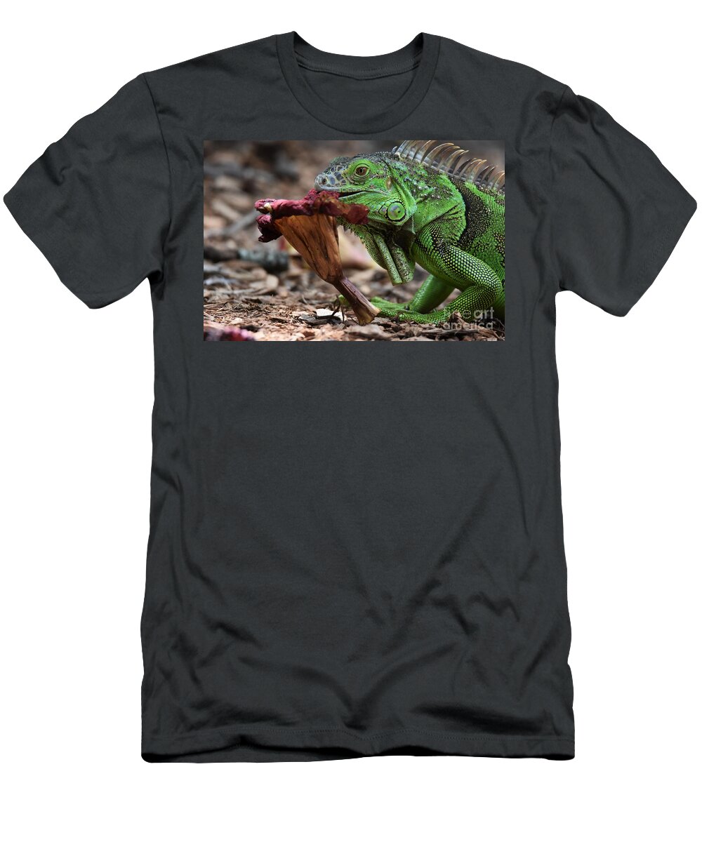 Iguana T-Shirt featuring the photograph Iguana Eating A Flower by Julie Adair