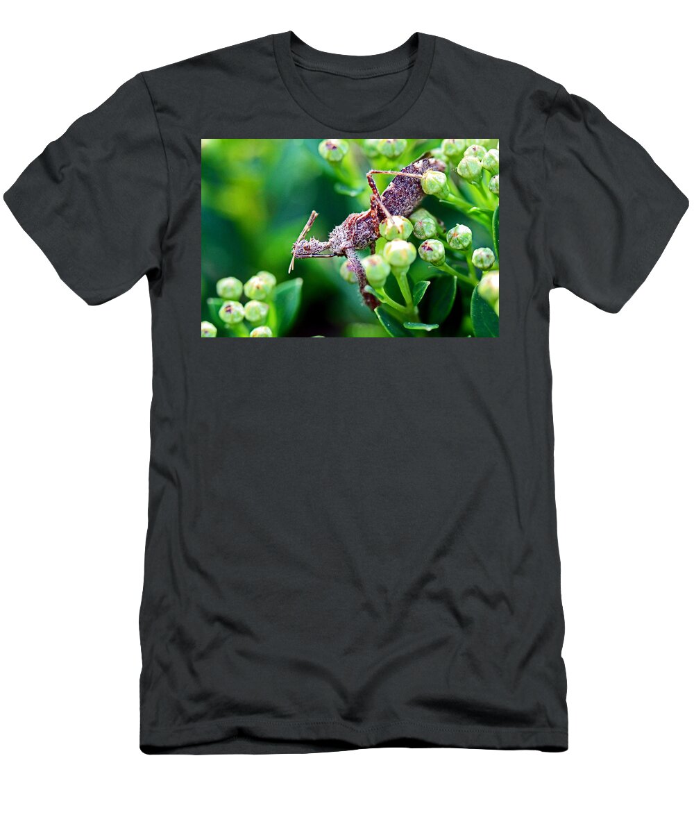 Insects T-Shirt featuring the photograph I'm Watching You by Jennifer Robin
