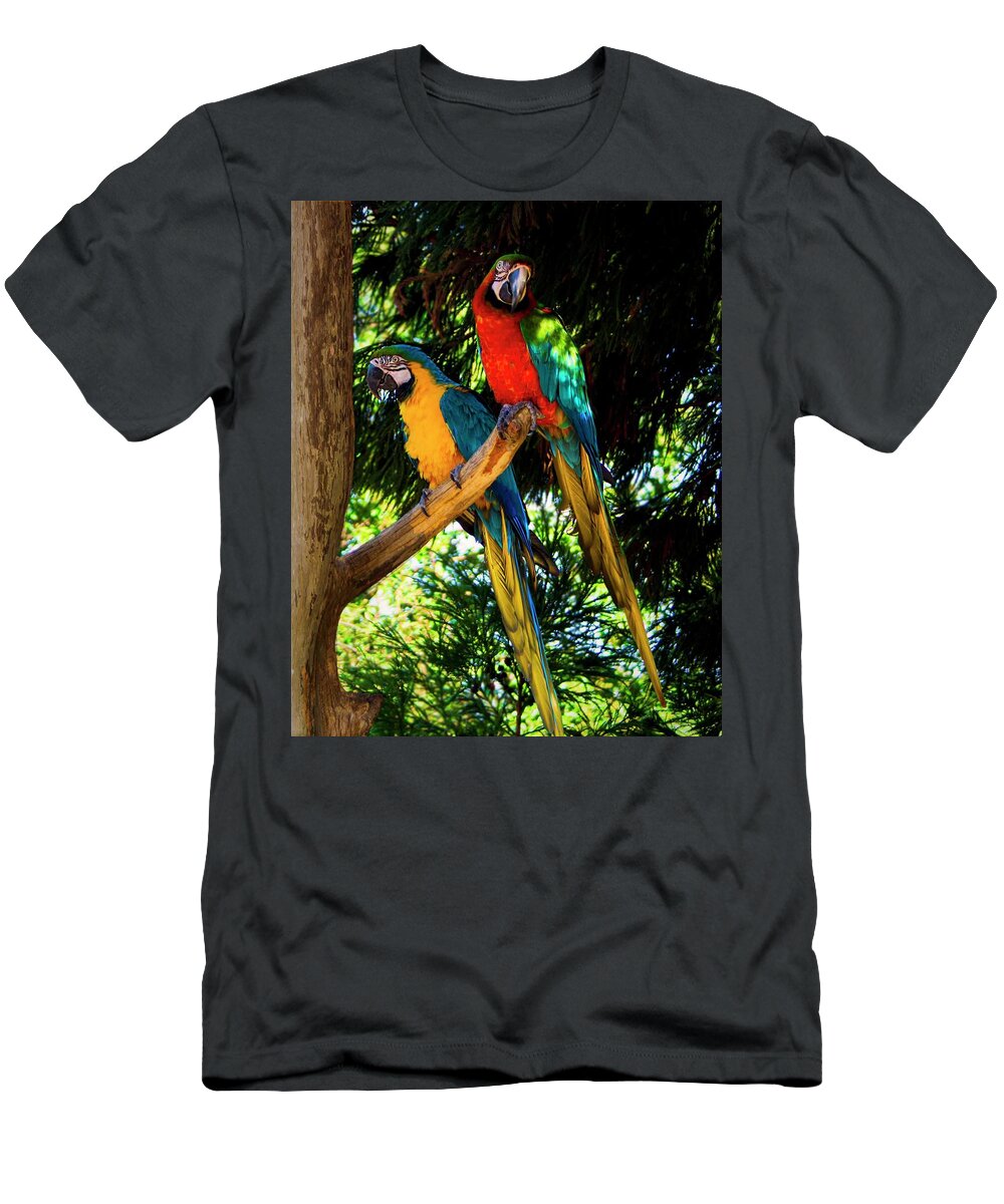 Parrott T-Shirt featuring the photograph Image Of The Parrott by M Three Photos