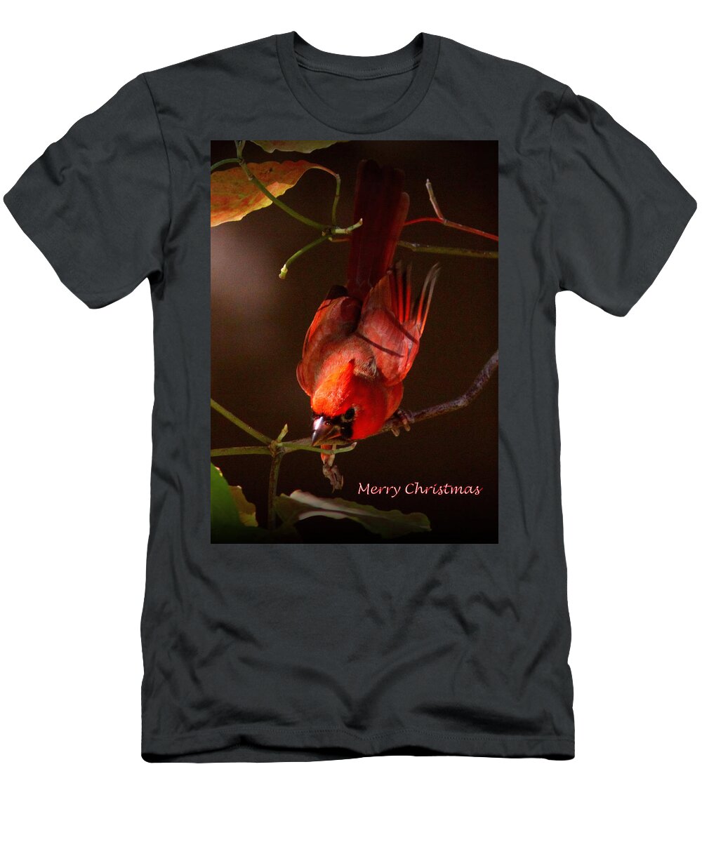 Northern Cardinal T-Shirt featuring the photograph IMG_4217-001 - Northern Cardinal Christmas Card by Travis Truelove