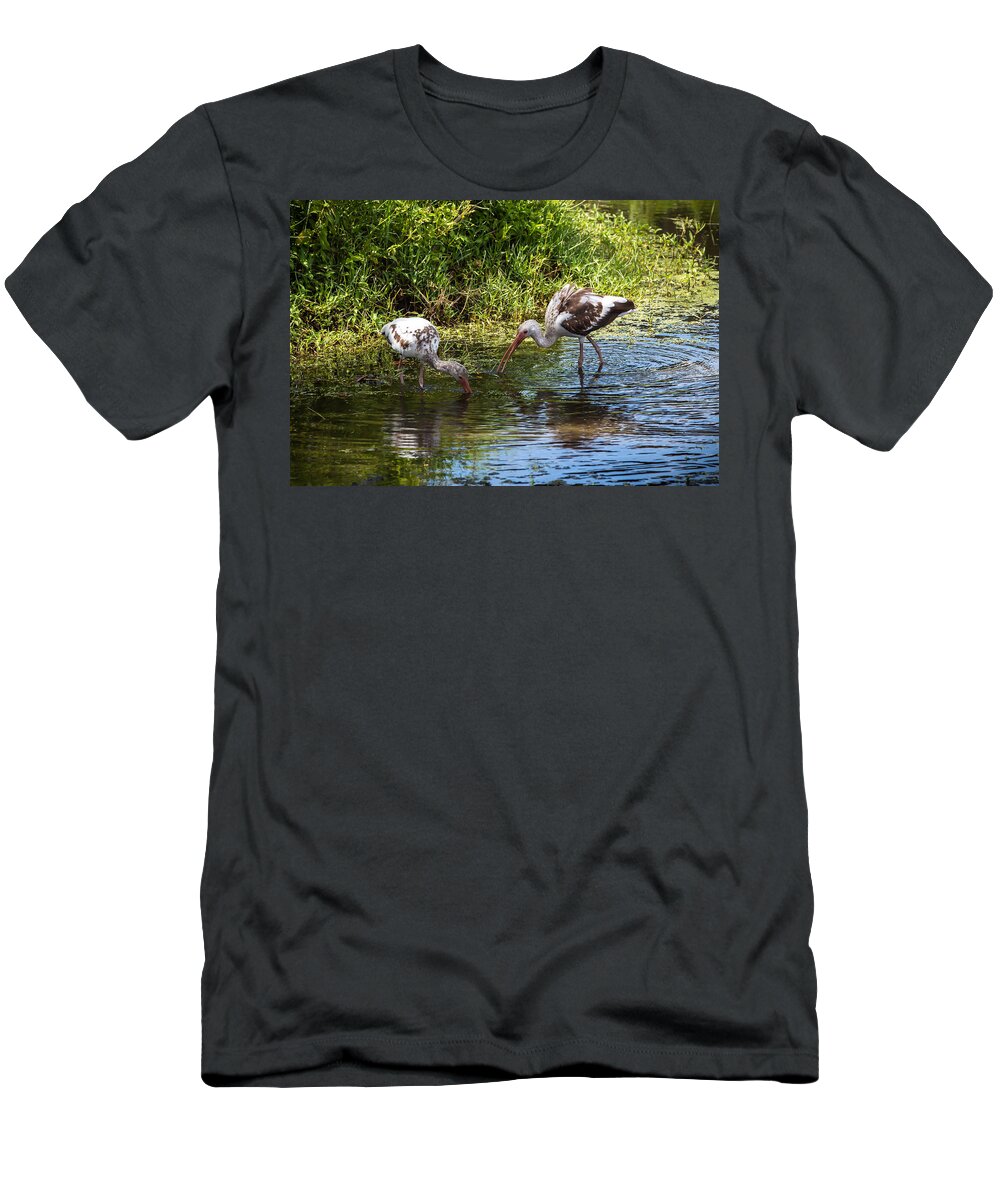 Red Bug Slough T-Shirt featuring the photograph Immature White Ibises by Richard Goldman