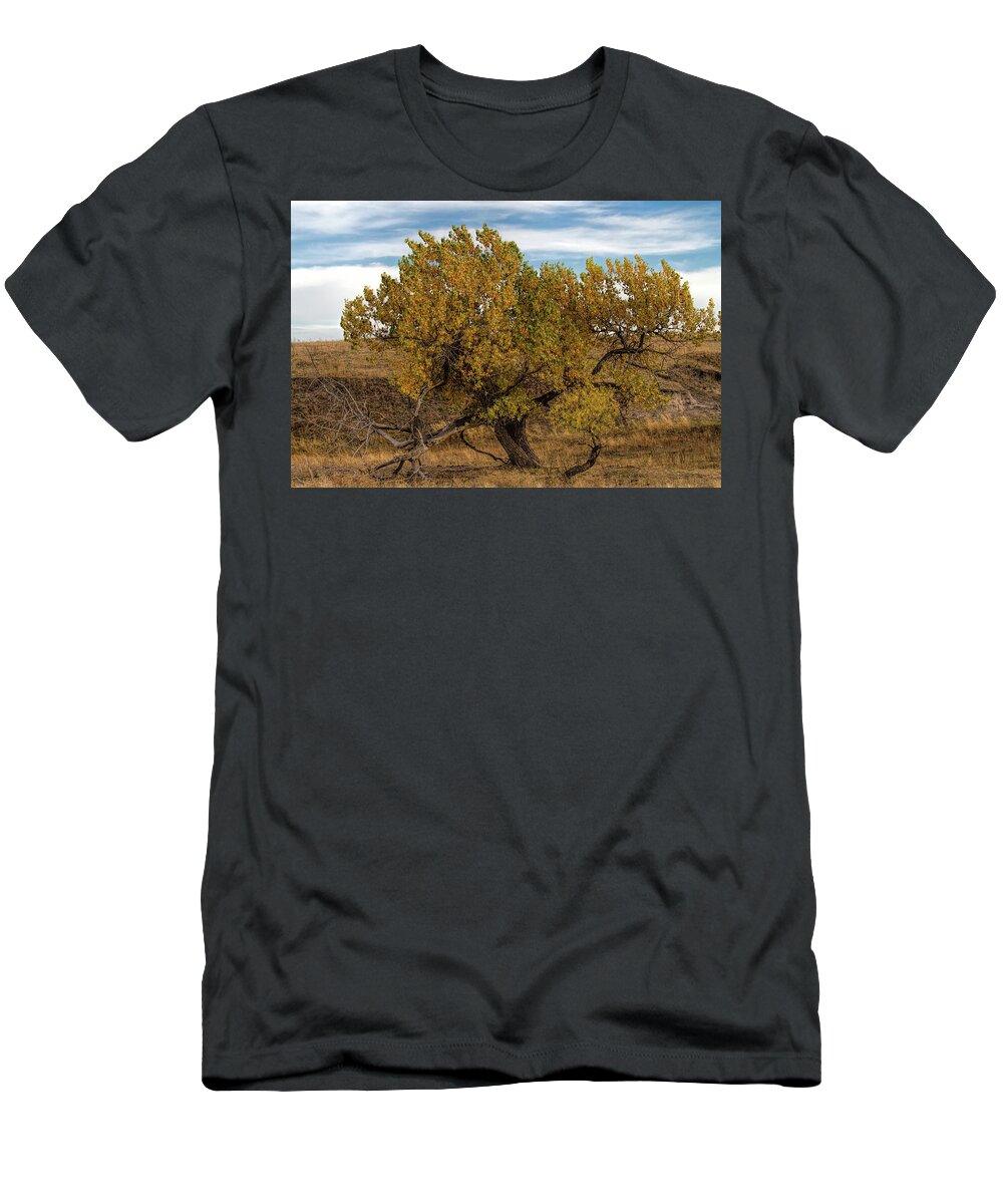 Tree T-Shirt featuring the photograph In Autumn's Glory by Alana Thrower
