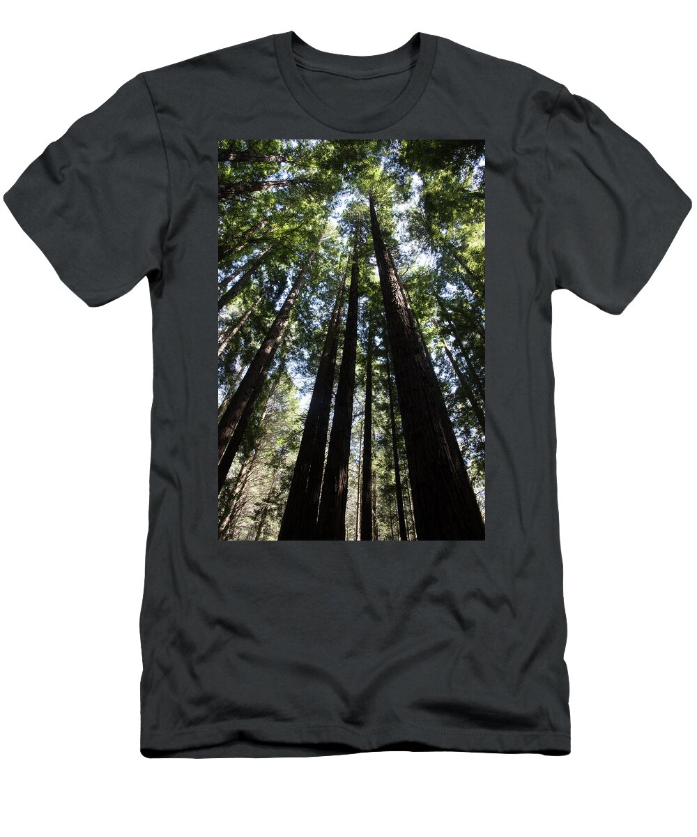 Landscape T-Shirt featuring the photograph In the Forest by Masami IIDA