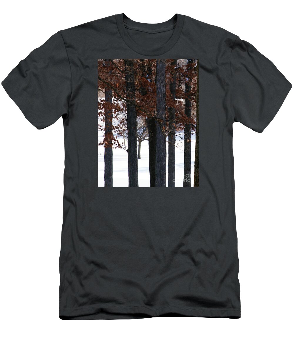 Woods T-Shirt featuring the photograph In The Presence of Elders by Linda Shafer