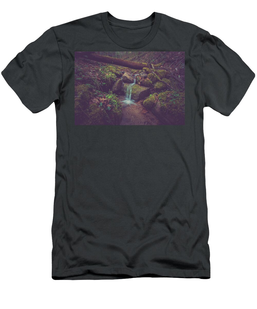Woods T-Shirt featuring the photograph In the woods by Shane Holsclaw