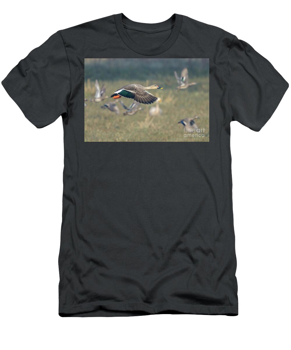 Bird T-Shirt featuring the photograph Indian Spot-billed Duck 01 by Werner Padarin
