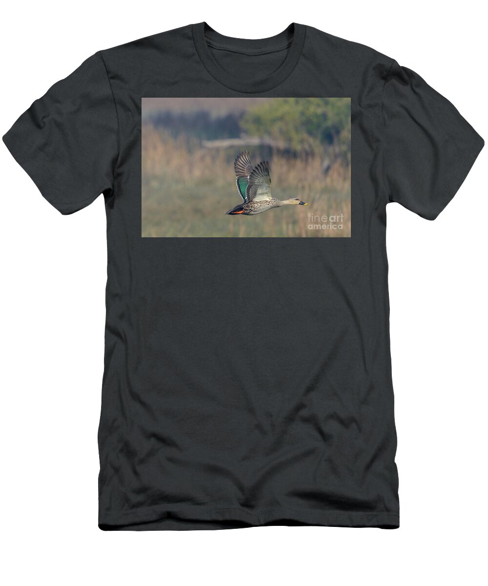 Bird T-Shirt featuring the photograph Indian Spot-billed Duck 03 by Werner Padarin