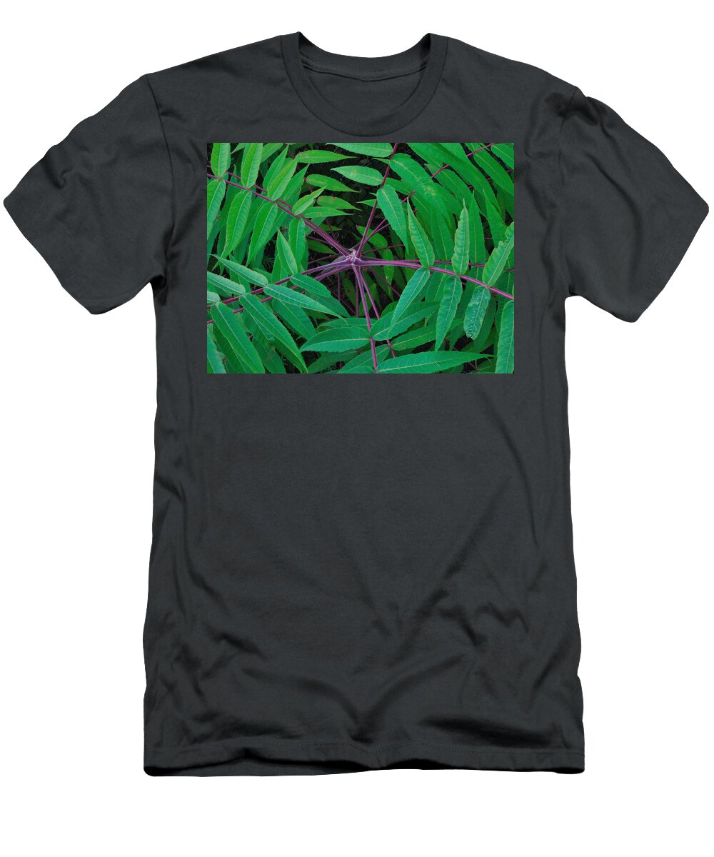 Tree T-Shirt featuring the photograph Infinity by Mark Fuller