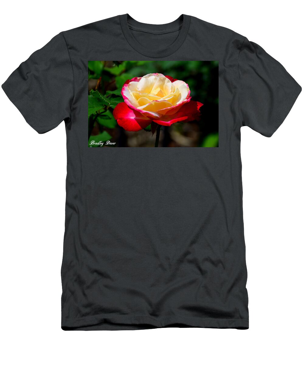 Art T-Shirt featuring the photograph Innocent center by Bradley Dever