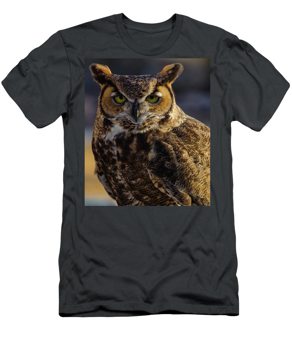 Owl T-Shirt featuring the photograph Intense Owl by Douglas Killourie