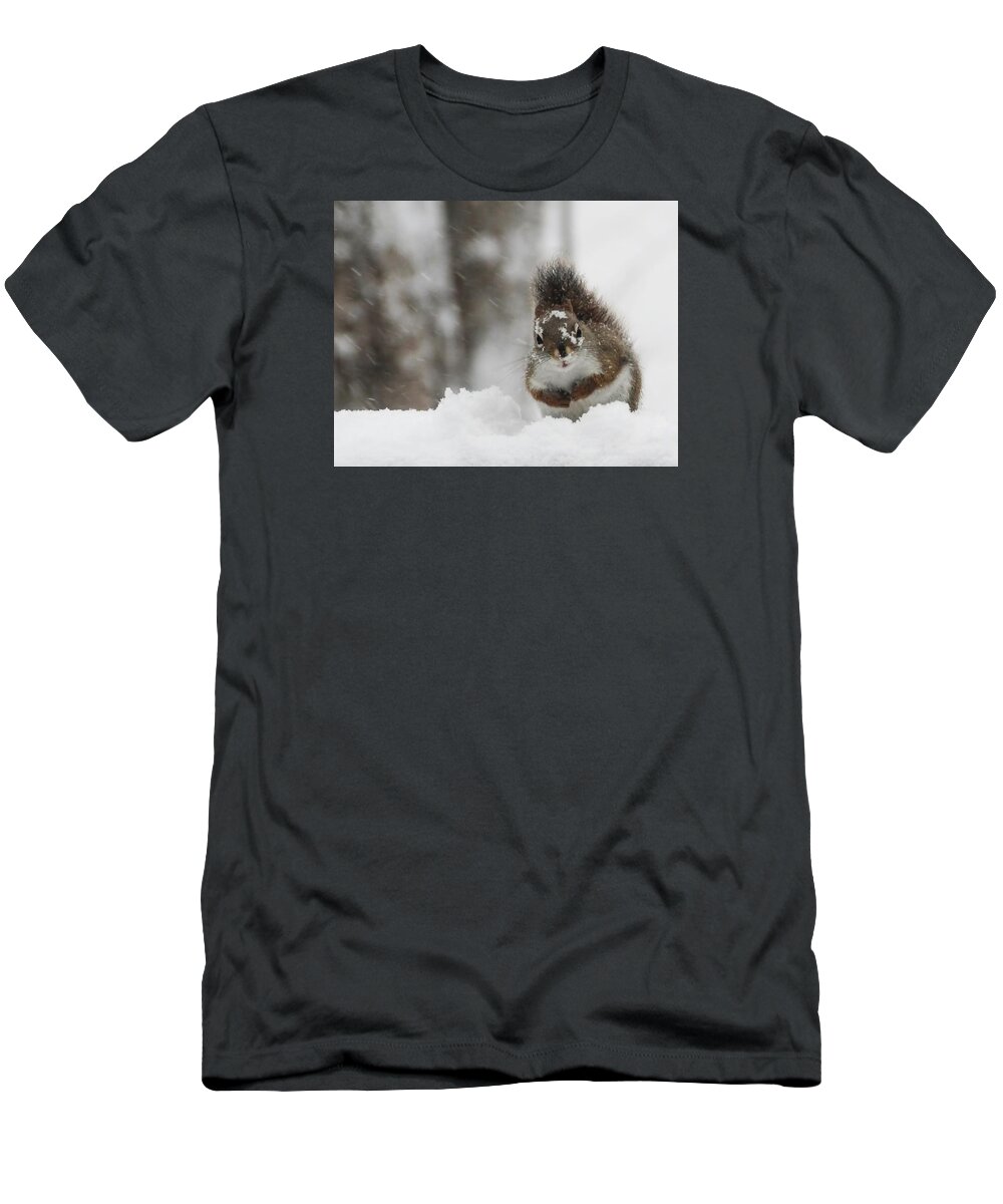 Red Squirrel T-Shirt featuring the photograph It is cold out here by Vance Bell