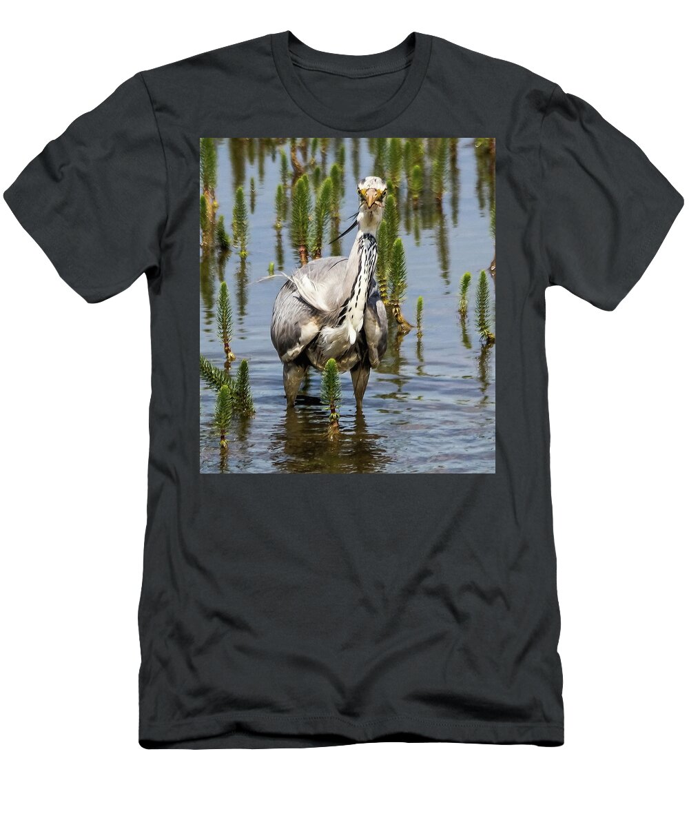 Grey Heron T-Shirt featuring the photograph Its not big enough to share by Jeff Townsend