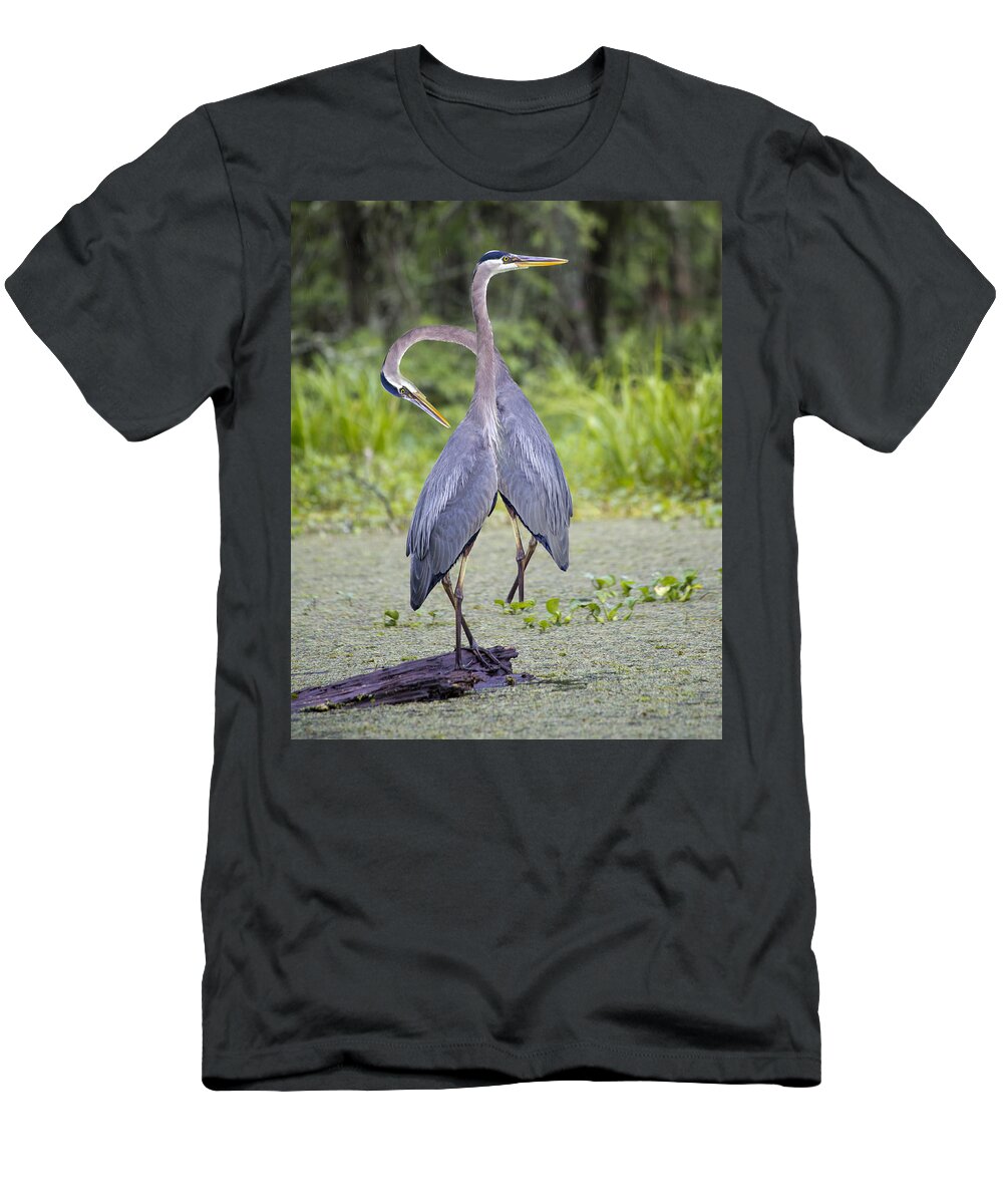 Breaux T-Shirt featuring the photograph I've Got Your Back by Betsy Knapp