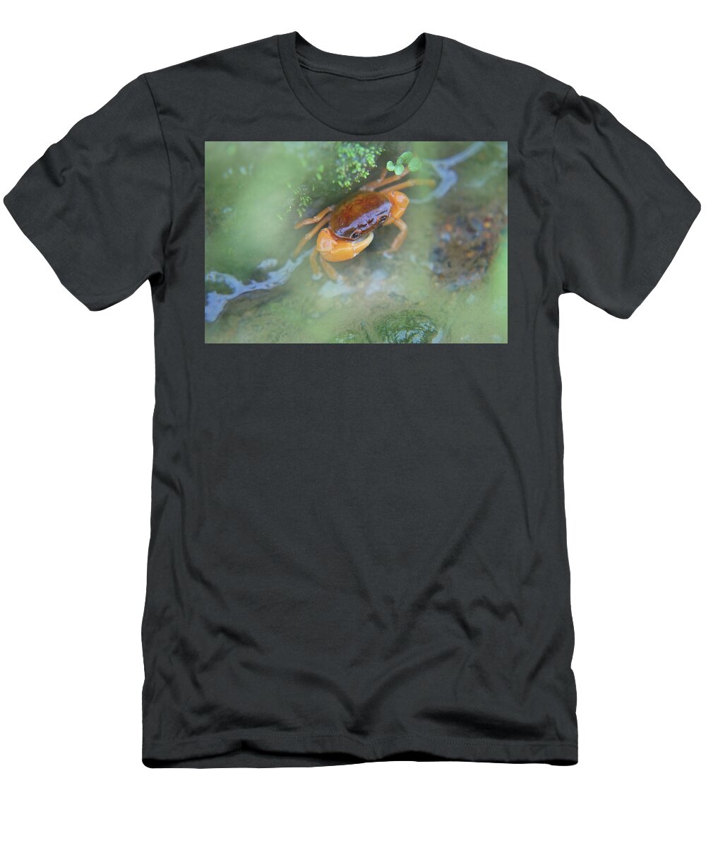  T-Shirt featuring the photograph Japanese creatures by One Story