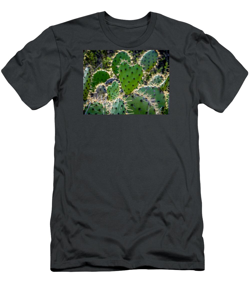 Cactus T-Shirt featuring the photograph Jealousy by Pamela Newcomb