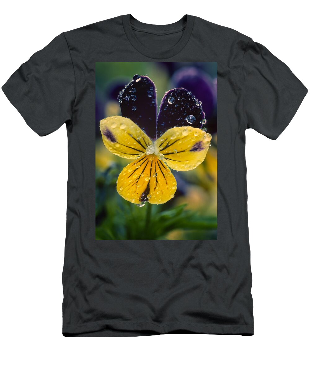 Wildflowers T-Shirt featuring the photograph Jewelled Pansy by Irwin Barrett