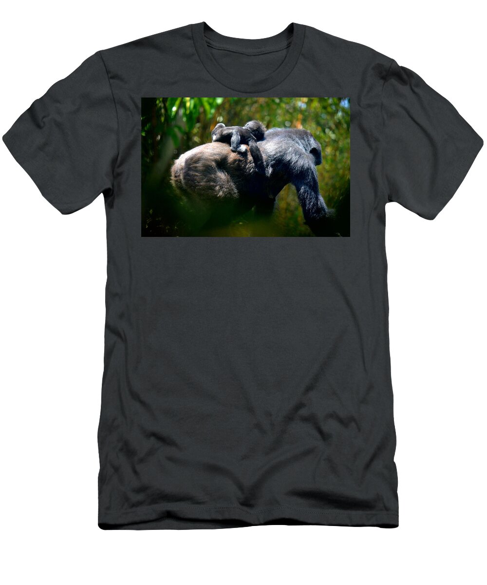 Gorilla T-Shirt featuring the photograph Jungle Baby Hitch Hiker by Lori Seaman